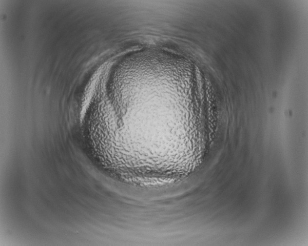 X0000083660043200702261153