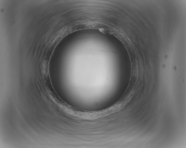 X0000083660044200702261153