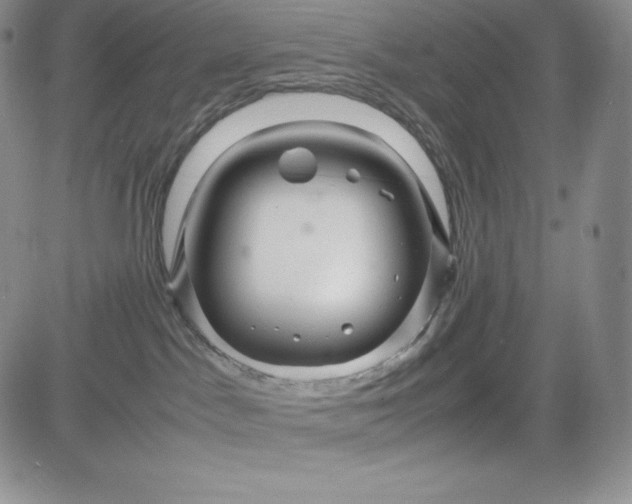 X0000083660045200702261153