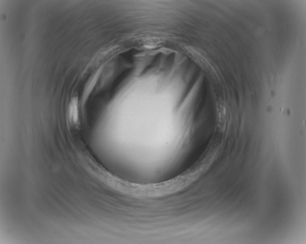 X0000083660046200702261153