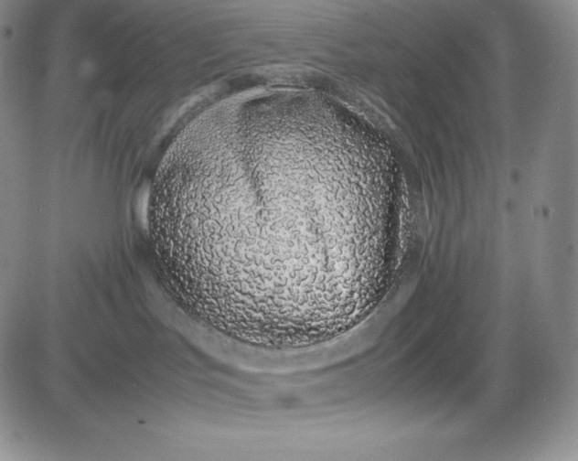 X0000083660047200702261153