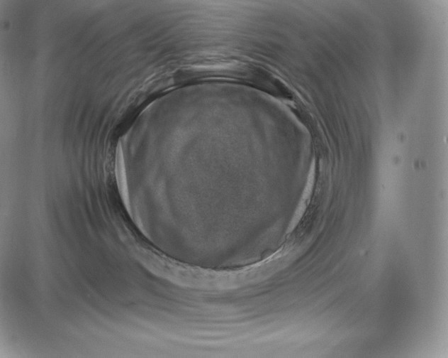 X0000083660048200702261153