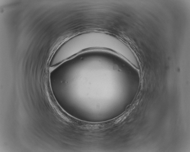 X0000083660049200702261152