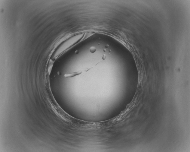 X0000083660050200702261152