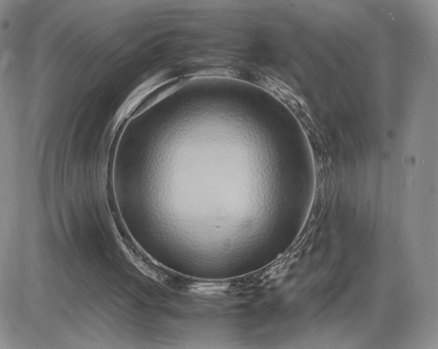 X0000083660051200702261152