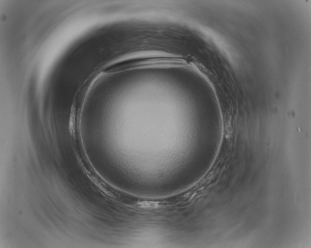 X0000083660052200702261152