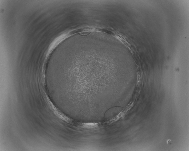 X0000083660053200702261152