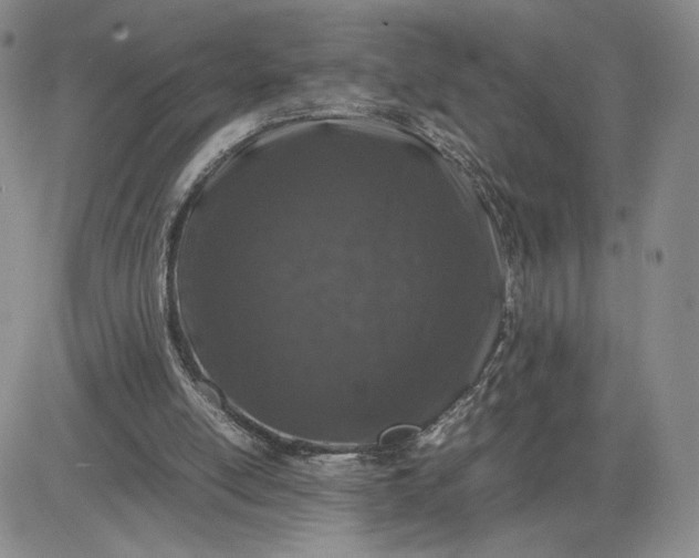 X0000083660054200702261152