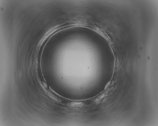 X0000083660055200702261152