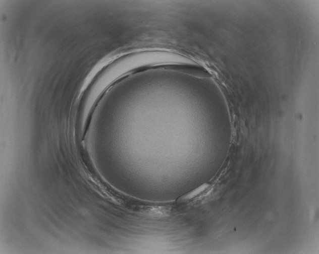 X0000083660056200702261152