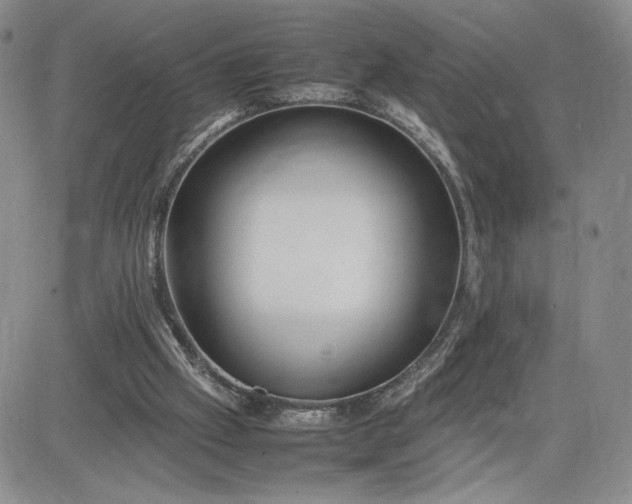 X0000083660057200702261152