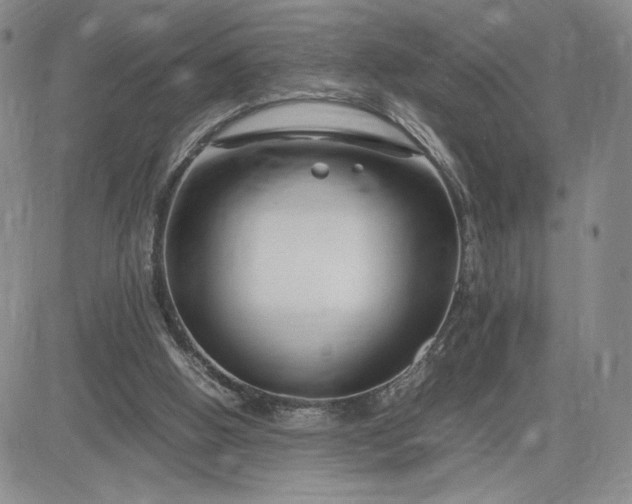 X0000083660058200702261152