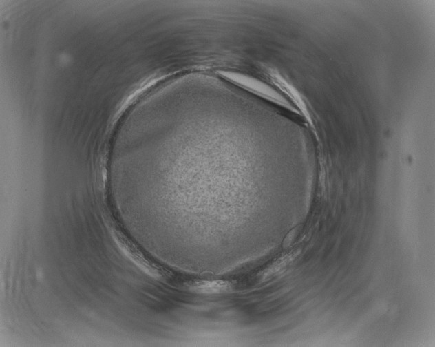 X0000083660059200702261152