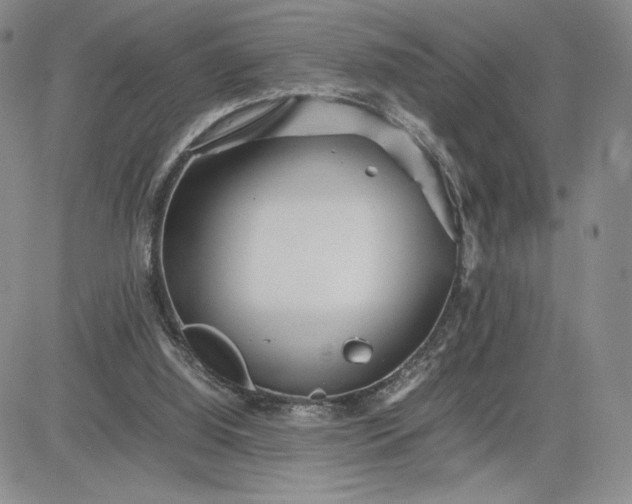 X0000083660060200702261152