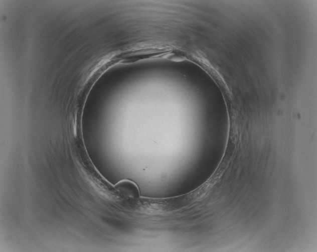 X0000083660062200702261152