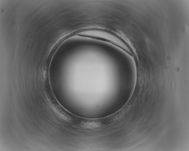 X0000083660063200702261152