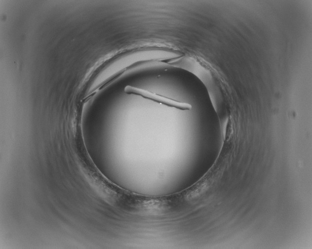 X0000083660064200702261152