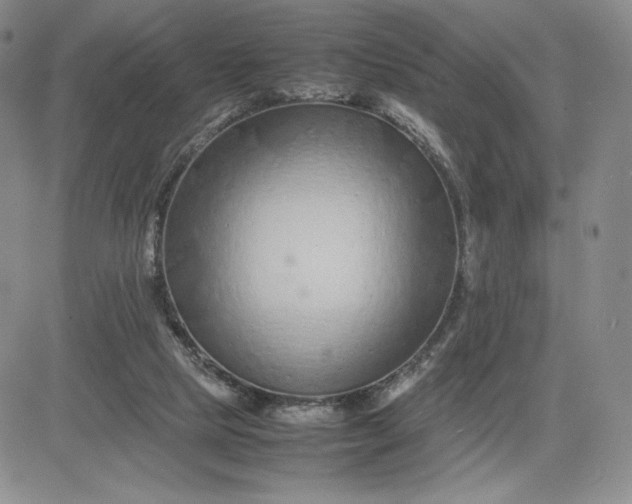 X0000083660065200702261152