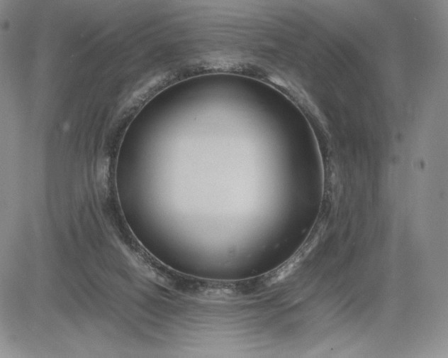 X0000083660066200702261152