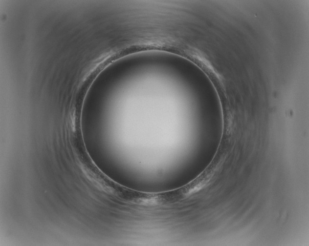 X0000083660068200702261152