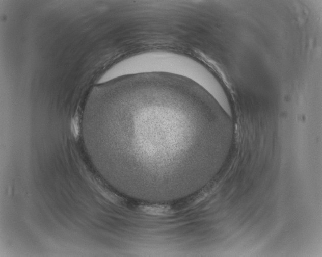 X0000083660069200702261152