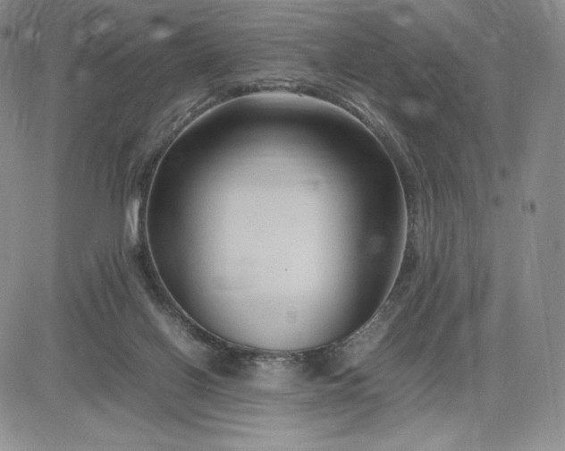 X0000083660070200702261152