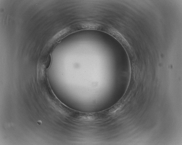 X0000083660071200702261152