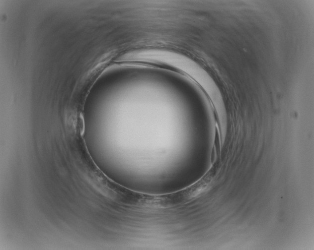 X0000083660072200702261152