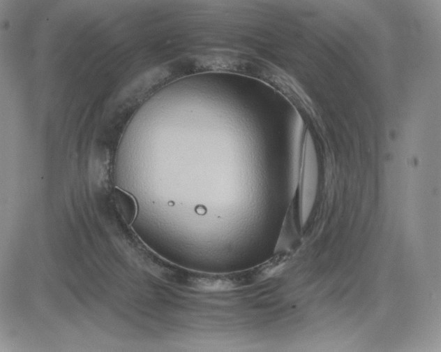 X0000083660073200702261152