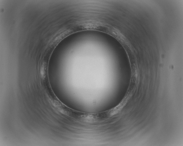 X0000083660074200702261152