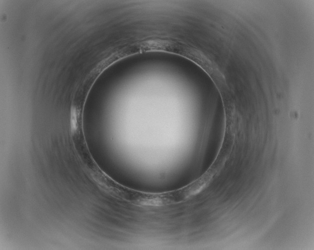 X0000083660075200702261152