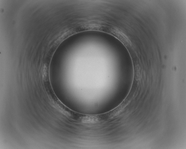 X0000083660077200702261152