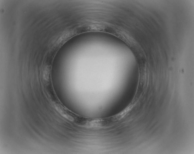 X0000083660078200702261152