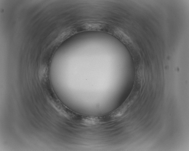 X0000083660079200702261152