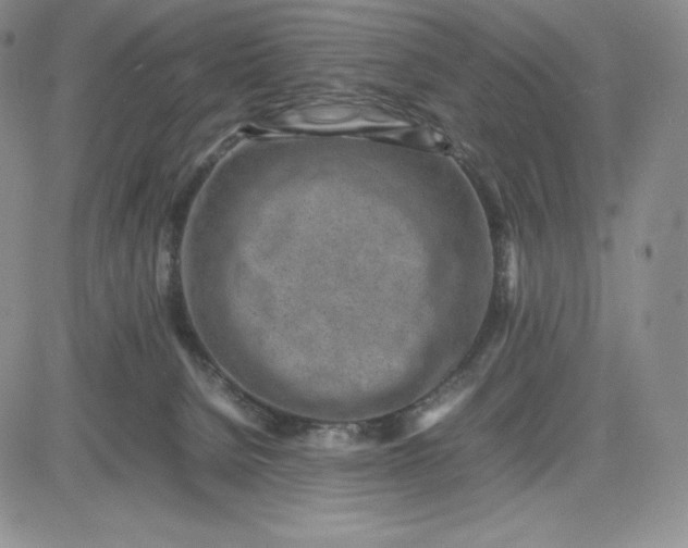 X0000083660080200702261152