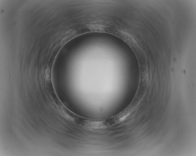 X0000083660081200702261152