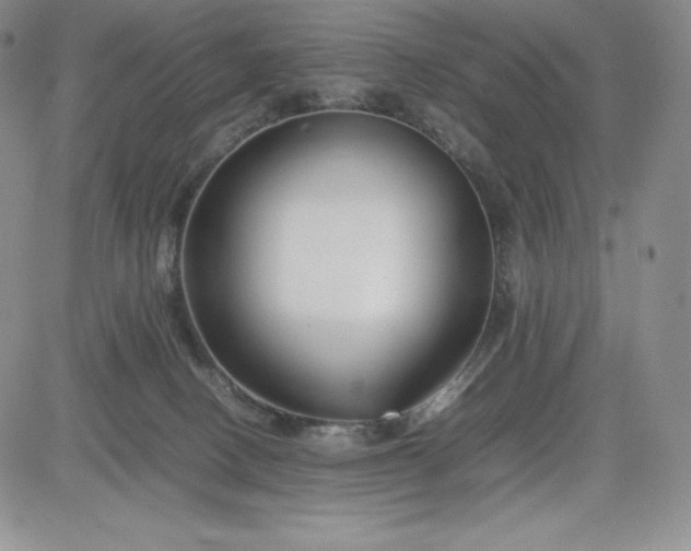 X0000083660082200702261152