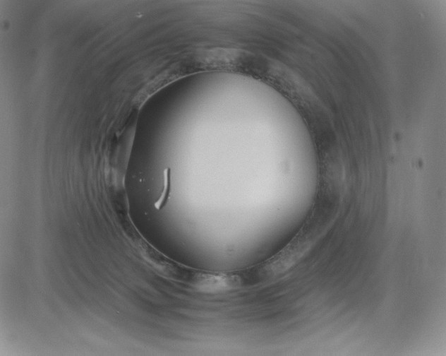 X0000083660083200702261152