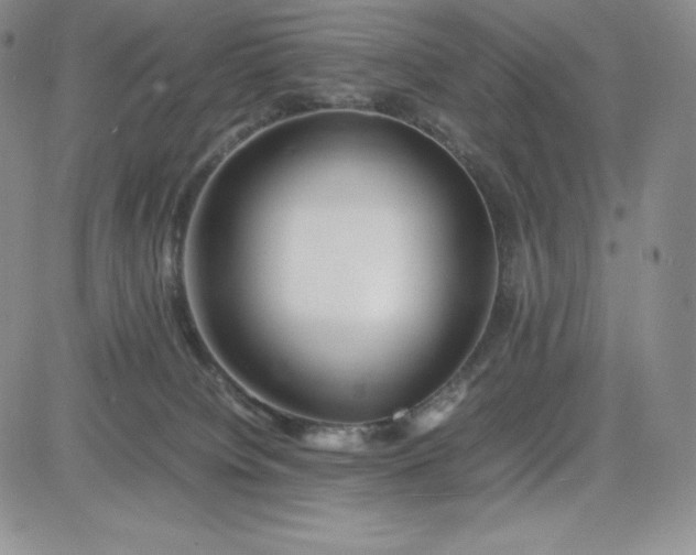 X0000083660084200702261152