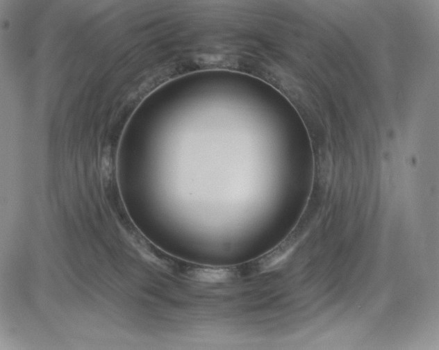 X0000083660085200702261152