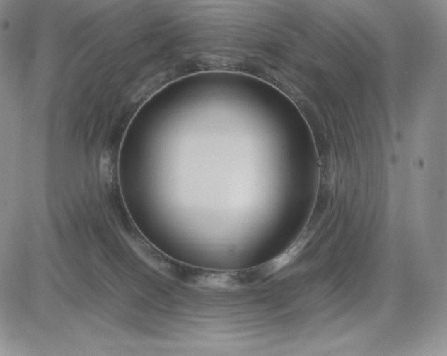 X0000083660086200702261152