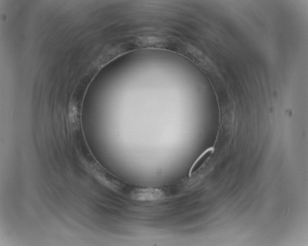 X0000083660087200702261152