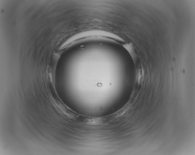 X0000083660088200702261152