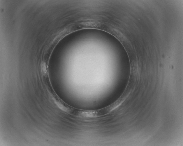 X0000083660089200702261152