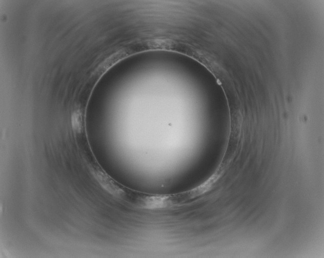 X0000083660090200702261152