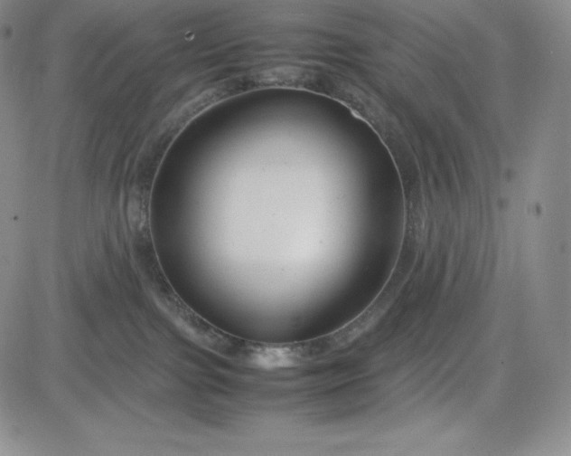 X0000083660091200702261152