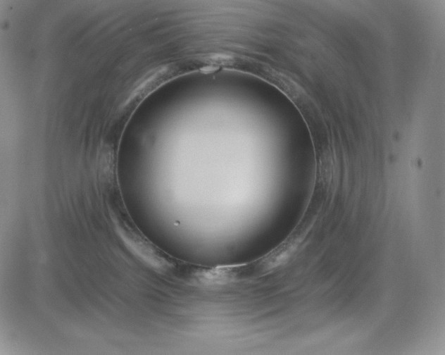 X0000083660092200702261152