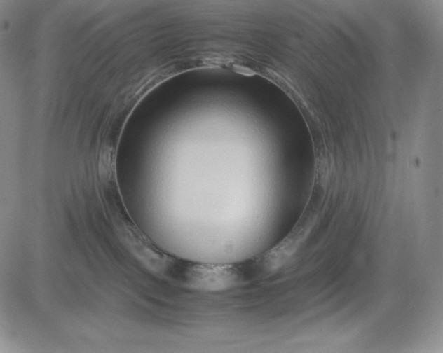 X0000083660093200702261153