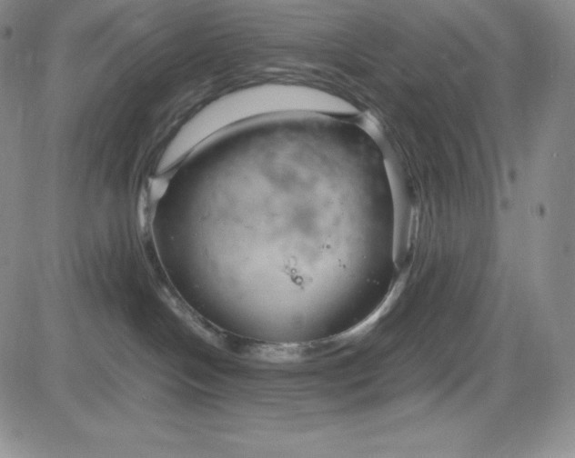 X0000083660094200702261153