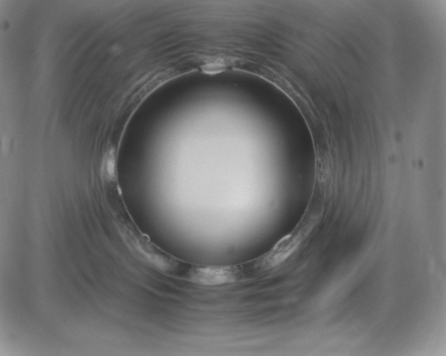 X0000083660095200702261153